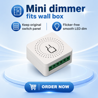 Module d'interrupteur intelligent WiFi Mini 16A 240V compatible Tuya, disjoncteur dissimulé avec minuterie et commande vocale
