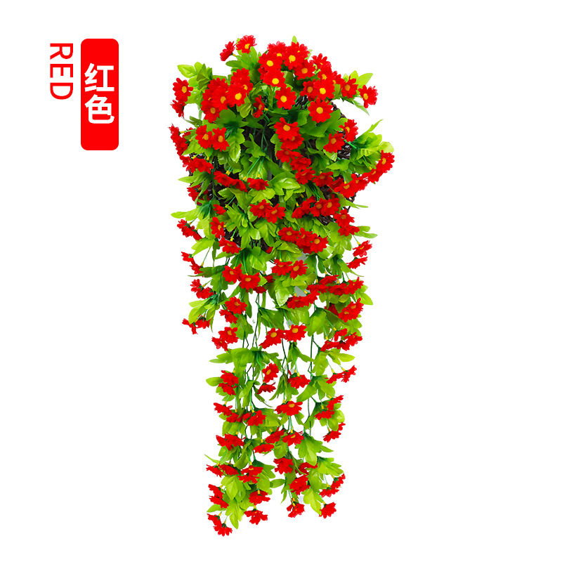 Chrysanthème rouge