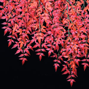 Hojas de <span class=keywords><strong>Nandina</strong></span> Mate al por Mayor, Hojas Artificiales de Alta Simulación, Hoja de Arce, Rama Ornamental de Jardín, Flor de Otoño de Simulación - Product Image 4