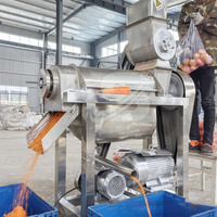 Aardbei Abrikoos Avocado Ananas Cactus Zuurzak 2020 Koude Pers Industriële Handmatige Vruchtensap Afzuigmachine
