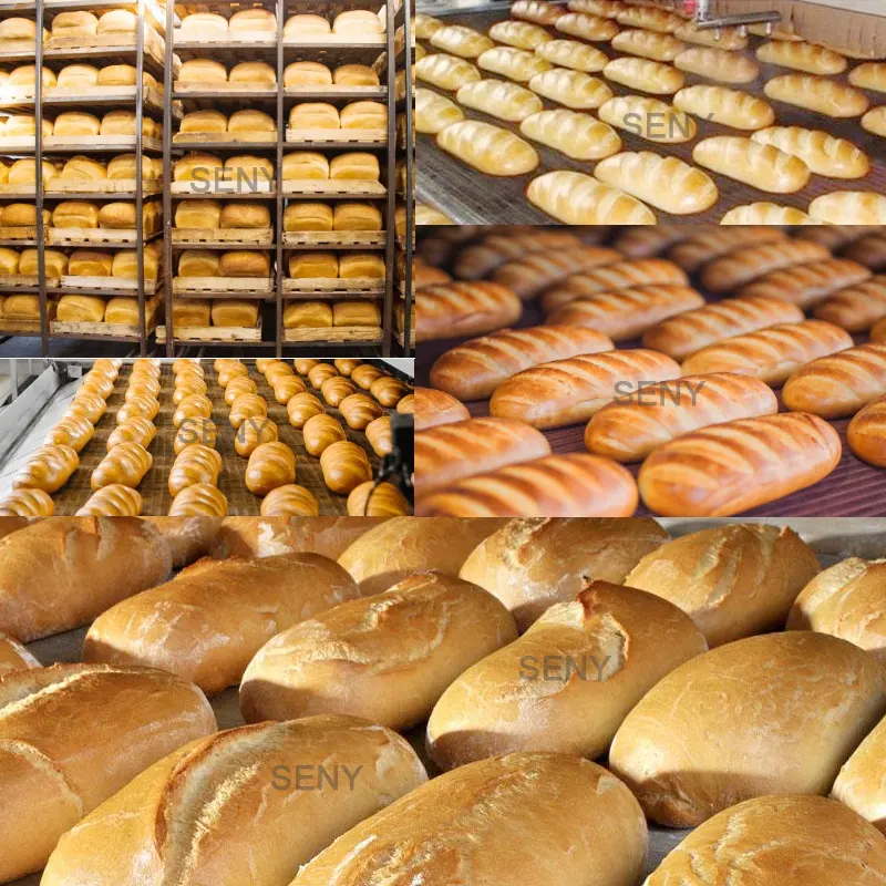 Seny çok fonksiyonlu otomatik düşük fiyat ekmek ekipmanları ekmek yapma makinesi ekmek üretim hattı