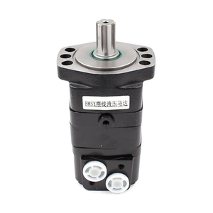 Motor Hidráulico Cicloide Hansen 100cc/r 50Lpm 500Nm OEM y Venta al por Mayor 1 Año de Garantía Origen Shandong - Product Image 1