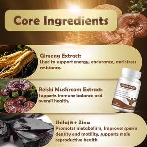 Cápsulas Herbales Rehmannia Ginseng Shilajit 14 en 1, Nueva Venta Caliente OEM, Suplemento para Energía, Inmunidad y Resistencia del Himalaya - Product Image 2