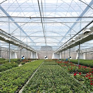 Kassenfolie van kunststof, multi-plastic polyethyleen, voor de landbouw, op maat gemaakt, UV-bestendig, 150 micron, 200 micron - Product Image 3