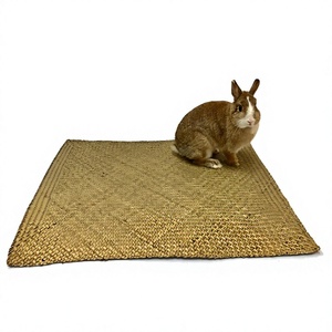 Natural Woven Seagrass Waterproof Durable Portable Travel Pet Mat Handwoven Animal <b>Bed</b> Chew Resistant Training <b>Pad</b> Custom Size - Product Image 1