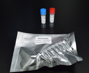 Kit de détection d'acides nucléiques JanMa KDP1008 pour ingrédients d'origine canine et animale, 48 tests/kit, fluorescence isotherme en 30 min - Product Image 5