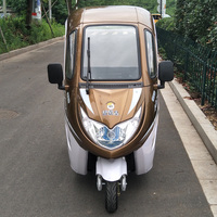 Panel Instrumen Digital Digital, 800W 1000W 1500W Populer Auto Bajaj untuk Listrik E Becak Harga Di India