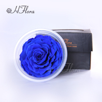 Fleurs décoratives de fête de mariage  toujours tête de rose préservée de couleur unique naturelle élégante avec boîte pour la Saint-Valentin