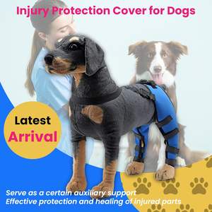 Attelle de genou pour chien OEM pour déchirure du ligament croisé antérieur, pattes arrière, genouillères pour animaux de compagnie, protection des pattes arrière, couvre-genouillères, soutien pour blessure, chirurgie, attelle de genou pour chien - Product Image 6