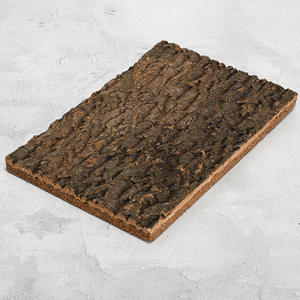 לוח גב מלבני בסגנון קלאסי ידידותי לסביבה, עשוי קליפת עץ טבעית, לקישוט נוף, קיר צמחים ירוק - Product Image 3