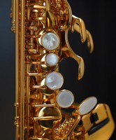 Chinese WIDEN OEM Professional Woodwind Instruments High Quality Bb Vintage soprano Saxophone