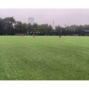 <span class=keywords><strong>Campo</strong></span> <span class=keywords><strong>di</strong></span> calcio in erba artificiale <span class=keywords><strong>di</strong></span> dimensioni personalizzate per lo stadio e la formazione - Product Image 1