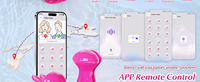 App-gesteuertes Paar-Spielzeug für Fernbeziehungen Erwachsenen-Sexspielzeug Nippelklemmen und Brustmassagegerät Halskette Masturbatoren Produkt
