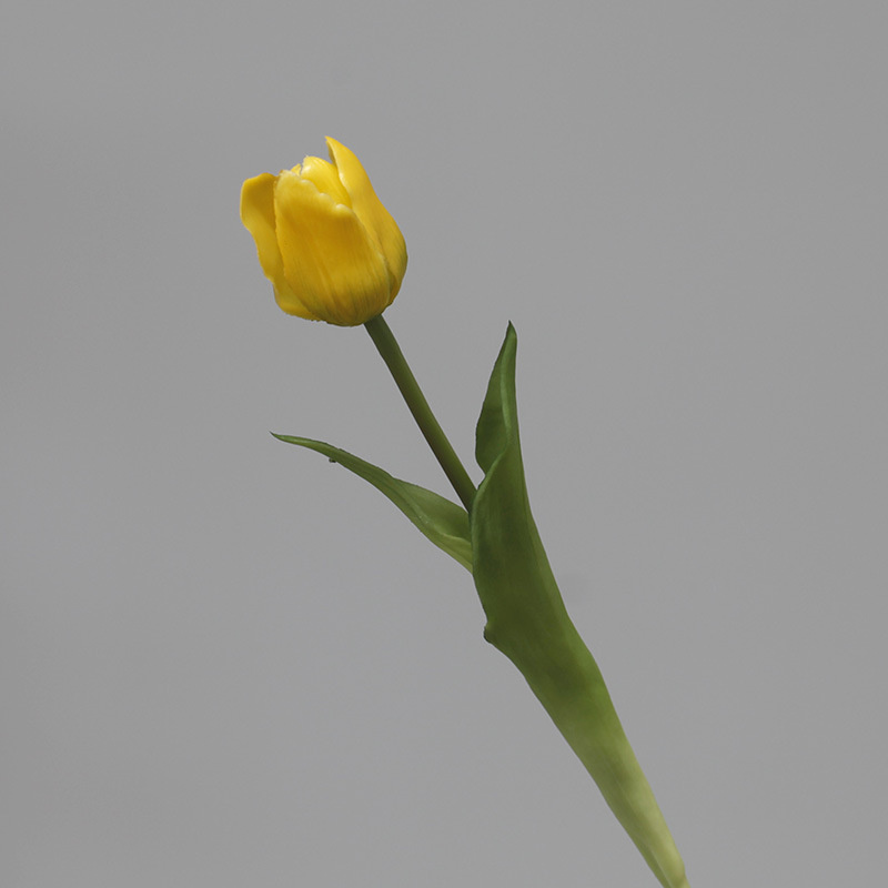 สีเหลือง