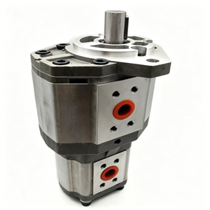 Pompe à engrenages jumelée haute performance STOCK CBQT-E563/F432 conçue pour les circuits hydrauliques de direction et de levage - Product Image 4