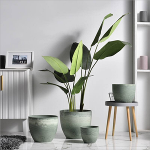 Yicai-maceta gruesa y creativa <span class=keywords><strong>de</strong></span> plástico para jardinería, maceta nórdica sencilla <span class=keywords><strong>de</strong></span> plástico con <span class=keywords><strong>piedra</strong></span> <span class=keywords><strong>de</strong></span> imitación <span class=keywords><strong>de</strong></span> resina Pp ambiental, para mesa <span class=keywords><strong>de</strong></span> carne - Product Image 5