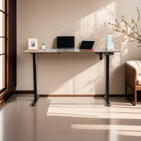 Bureau debout électrique ergonomique à hauteur réglable, vente en gros directe usine, avec ports USB, en acier et bois, capacité de charge 70 kg