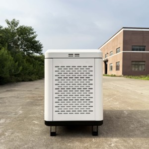 Generador Residencial SLONG de 5-20kW Multicombustible (GLP/<span class=keywords><strong>Gas</strong></span> Natural) de Fábrica OEM - Product Image 6
