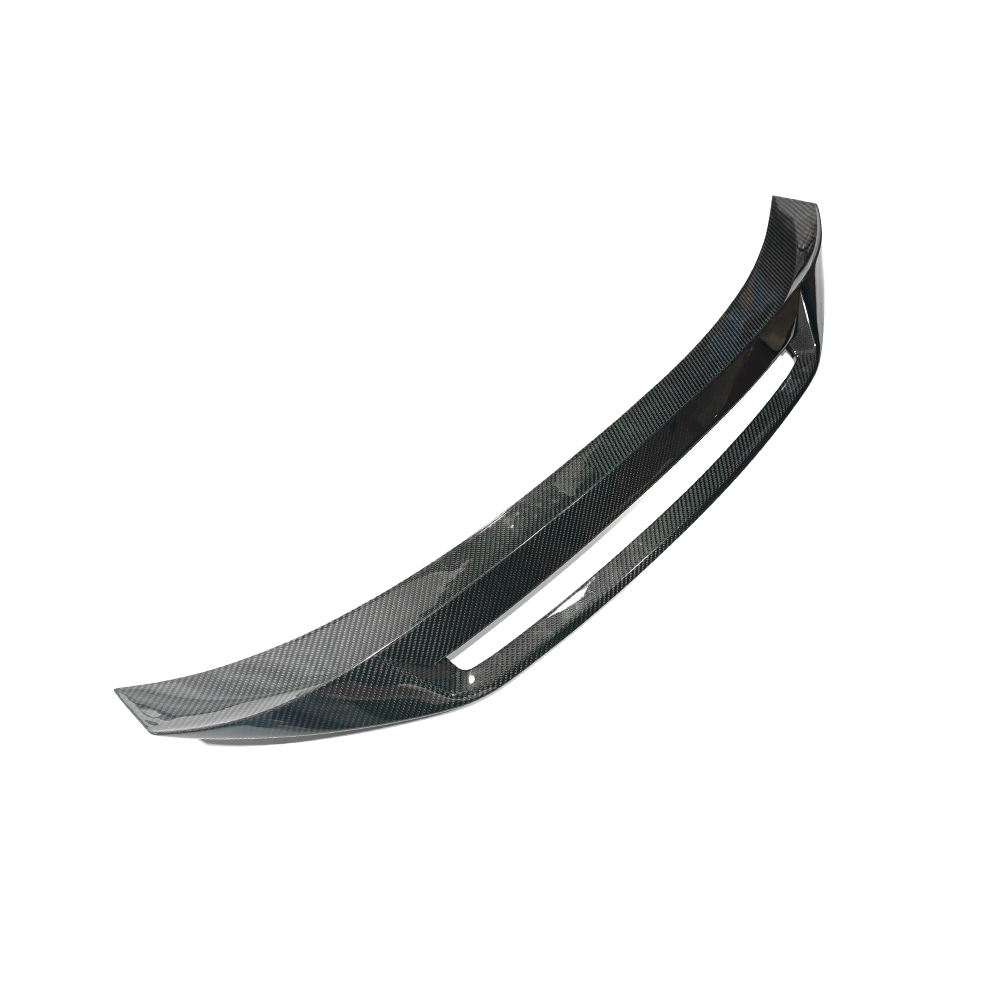 Carbon Fiber