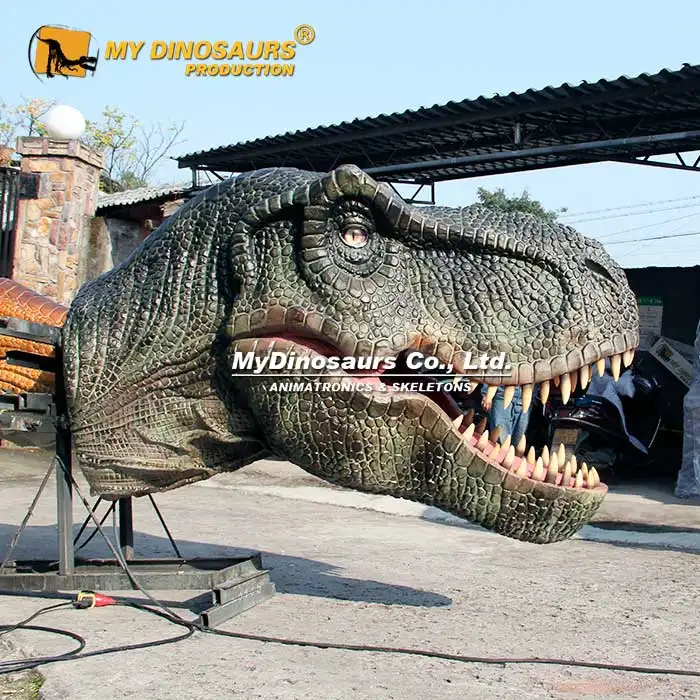 Animatronic Dinosaurus T-Rex Hoofd Voor Pretparkdecoratie