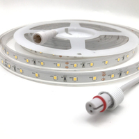 Bande flexible étanche IP68 SMD 2835 24V 60 LED, lumière décorative 12V pour piscines, yachts et navires de croisière