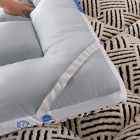 Surmatelas en velours jacquard épaissi, neuf, pliable et doux, idéal pour dortoirs étudiants, maisons et chambres d'hôtes.