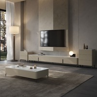 Meuble TV moderne et épuré pour petit appartement, style luxe léger, idéal pour tables basses dans le salon