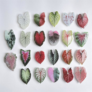 2025 prezzo di fabbrica all'ingrosso foglia acrilico presa per <span class=keywords><strong>telefono</strong></span> cellulare foglie porta <span class=keywords><strong>pianta</strong></span> - Product Image 2