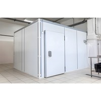 Cámara Frigorífica Comercial, Almacén Refrigerado, Contenedor Congelador de 20 pies, Cámara Frigorífica para Carnes, Verduras y Pescado