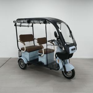 Offre Spéciale 1000W vélo <span class=keywords><strong>électrique</strong></span> à <span class=keywords><strong>3</strong></span> <span class=keywords><strong>roues</strong></span> usage familial Ebike Tricycle <span class=keywords><strong>Scooter</strong></span> pour personnes âgées <span class=keywords><strong>avec</strong></span> <span class=keywords><strong>toit</strong></span> - Product Image 3
