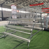 Poulaillers neufs pour poulets de chair et poules pondeuses, type de bâtiment d'élevage disponible à la vente