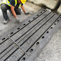 Junta de Expansión de Goma Tipo Transflex para Mantenimiento de Puentes |   Junta Elástica de 30-100 mm para Reemplazo de Cubiertas de Puentes