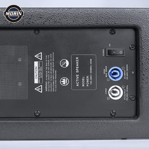 Altoparlanti attivi da 10 pollici per esterni alimentati <span class=keywords><strong>subwoofer</strong></span> 18 pollici altoparlanti professionali <span class=keywords><strong>line</strong></span> <span class=keywords><strong>array</strong></span> - Product Image 4