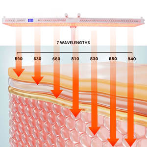 Dispositivo de Terapia LED IDEARED para Uso Doméstico, Panel de Terapia de Luz Infrarroja PDT de Grado Médico Portátil, Panel de Terapia de Luz Roja LED - Product Image 3