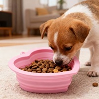 Bol de voyage pliable en silicone pour chiens et chats, portable et pliable avec mousqueton