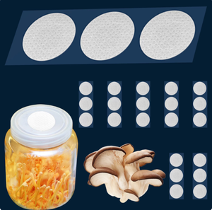 Parches <span class=keywords><strong>de</strong></span> Ventilación EPTFE Estériles Reutilizables <span class=keywords><strong>de</strong></span> Grado Laboratorio con Adhesivo Fuerte para Cultivo <span class=keywords><strong>de</strong></span> Hongos y Hongos Fúngicos <span class=keywords><strong>de</strong></span> Tamaño Personalizado - Product Image 1