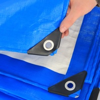 Bâche imperméable robuste transparente bleue et blanche en PE anti-âge isolante avec œillets