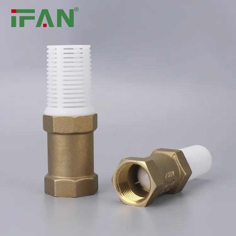 IFAN 1/2"-4" Thread Spring Check Valve Copper Swing Non Return Valve Water Supply Brass Check Valve with Plastic Filter