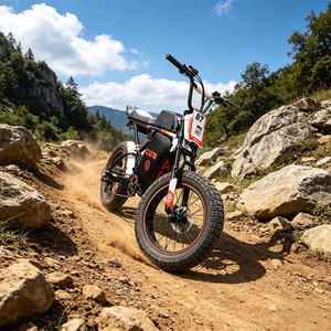 Bicicletta Elettrica da Montagna con Motore Centrale da 500W, Batteria al Litio 48V, Ruote Fat da 20 Pollici, Telaio in Lega di Alluminio a 7 Velocità e Sospensione Completa - Product Image 3