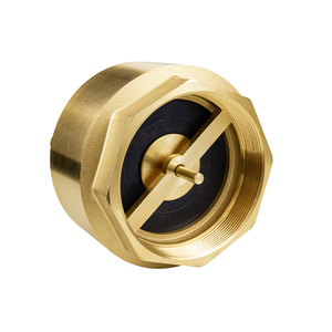 Tmok nữ chủ đề DN50 2 "Brass Lift một cách van không-trở lại mùa xuân nạp kiểm tra van - Product Image 2