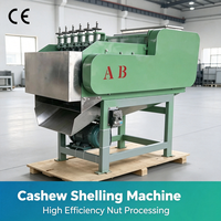 Machine à décortiquer les noix de cajou | Éplucheur de noix de cajou | Machine à décortiquer les noix de cajou