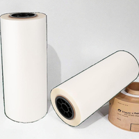 Vente en gros de rouleaux de film PET 30cm 60cm double face haute température transfert de chaleur DTF imprimante textile A4 film de papier transfert