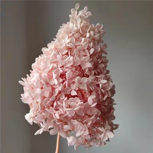Fournisseur d'articles floraux d'usine : Hortensia Arborescens stabilisé, fleur éternelle au toucher réel, pour cadeaux de mariage et décoration de table, OEM personnalisé - Product Image 3