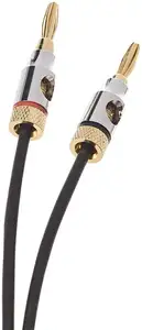 Speaker Cable with Gold-Plated Banana Tips 6 ft