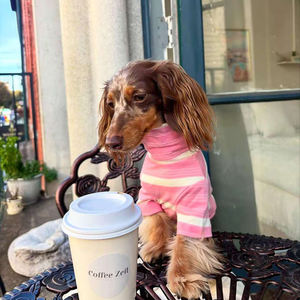 가볍고 편안하며 신축성 있는 스프링 애완동물 드레스 의류 고급 명품 애완동물 디자이너 의류 - Product Image 3