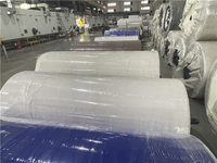 Banda Transportadora Vertical de Plástico Móvil para Maquinaria de Empaquetado, Bandas Transportadoras de PVC