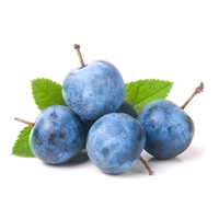 Liqueur italienne traditionnelle de 700 ml, recettes anciennes émiliennes, infusée à l'ardennes, inspirée du Bargnolino, fabriquée à partir de fruits de Bargnolo