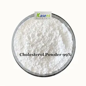 Raw Material Cholesterol Powder 99%