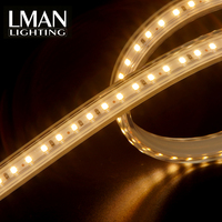 Bande lumineuse LED flexible intelligente sans fil à intensité variable haute tension 120 LED/m AC 220V IP65 étanche SMD2835 CCT 3000K-6000K PVC