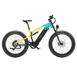 RV800 26x4.0" Wheels 48V 750W Motor 52km/h Speed 20Ah Battery 120-150km Range - Product Image 6